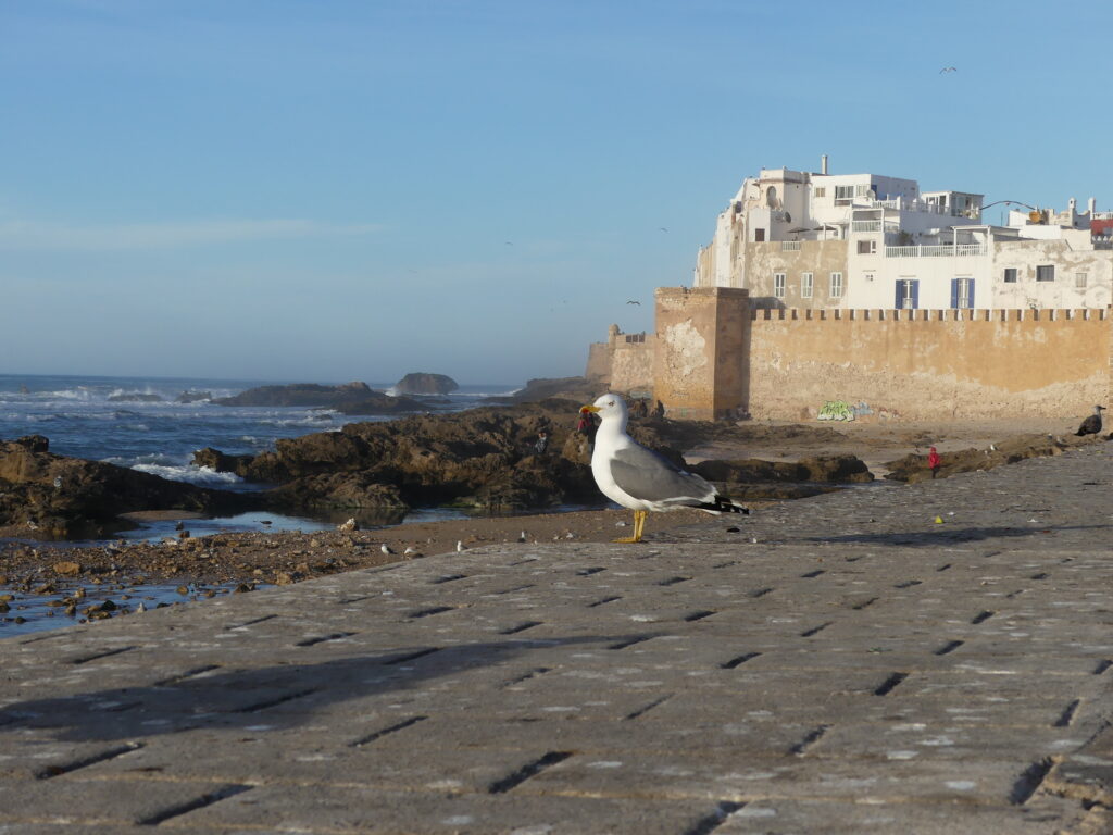 L’Histoire Captivante d’Essaouira : Une Épopée à Travers les Âges