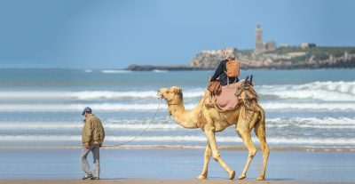 Hotel Essaouira Mogador Riad Emotion Morocco