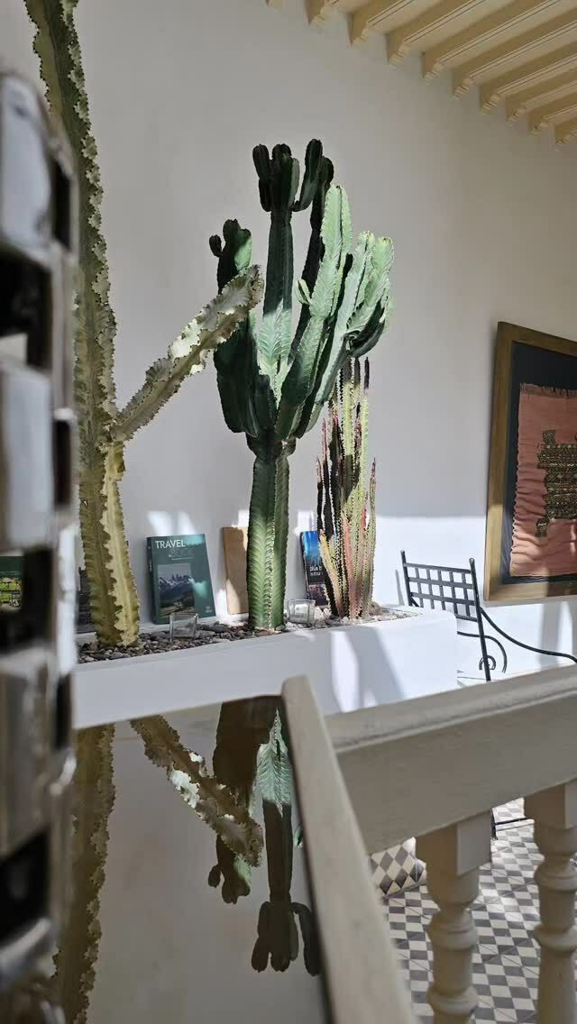 Play of light...☀️

Réservez avec le code EMOTION 🇲🇦
www.riademotion.com 

#riademotion #essaouira #maroc #slowlife #romanticplace #lightdesign #riadlovers #reserverdirect #travelphotography #placetovisit #vivreessaouira